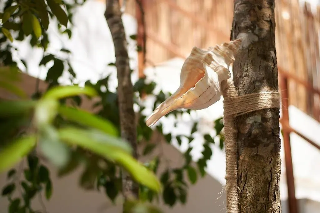 Luxury&Nature Villa Rosita Tulum/ Work&Rest Spaces Tulum